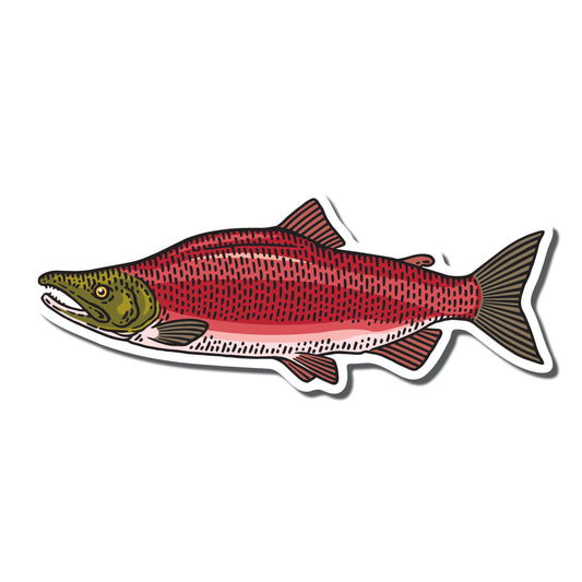 Sockeye Salmon - True North Sticker Company